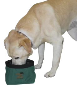 AVERY SPORTING DOG EZ-Stor Collapsible Dog Bowl