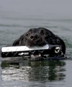 AVERY SPORTING DOG 2