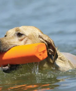 Dogs AVERY SPORTING DOG 3" Canvas Bumper 17 Dogs AVERY SPORTING DOG 3