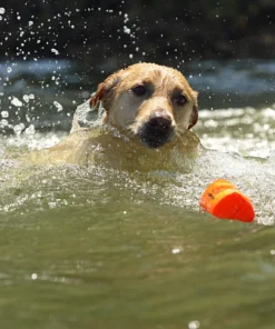 Dogs AVERY SPORTING DOG 3" Canvas Bumper 14 Dogs AVERY SPORTING DOG 3