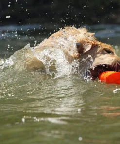 Dogs AVERY SPORTING DOG 3" Canvas Bumper 16 Dogs AVERY SPORTING DOG 3