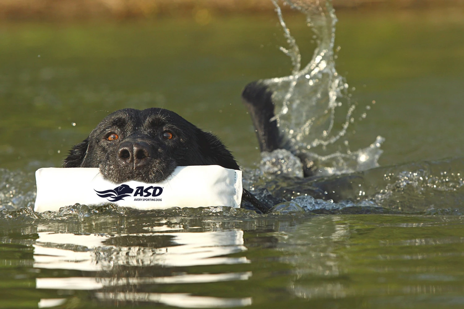 Dogs AVERY SPORTING DOG 3" Canvas Bumper 5 Dogs AVERY SPORTING DOG 3" Canvas Bumper