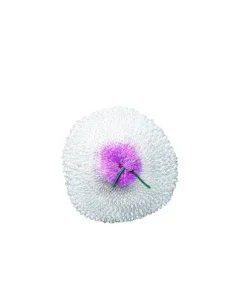 Primus Lantern Mantle Camping & Hunting