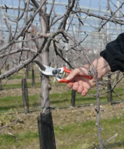 FELCO 2 Pruning Shear