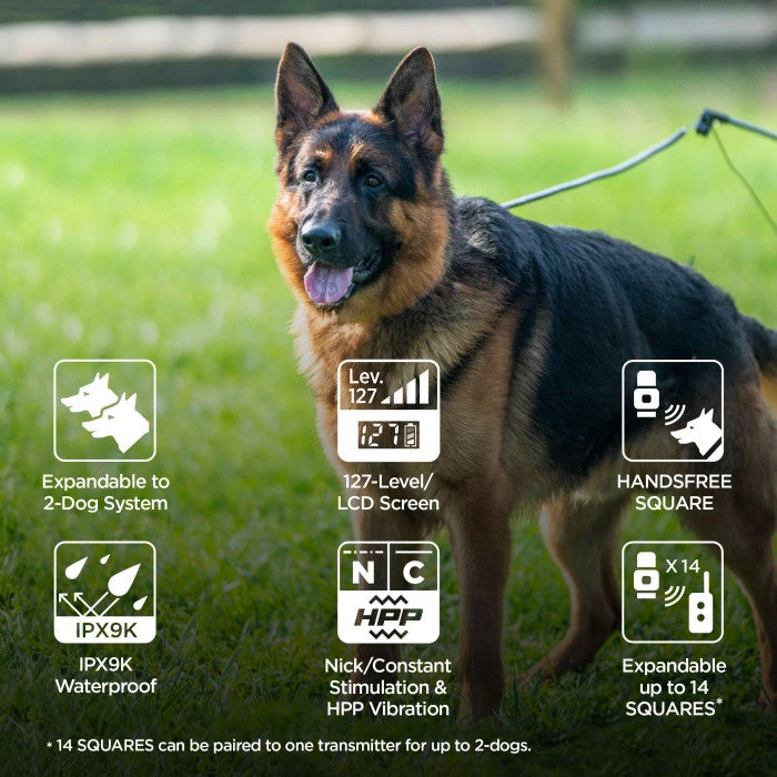 DOGTRA ARC HANDSFREE PLUS TRAINING SYSTEM 4 DOGTRA ARC HANDSFREE PLUS TRAINING SYSTEM