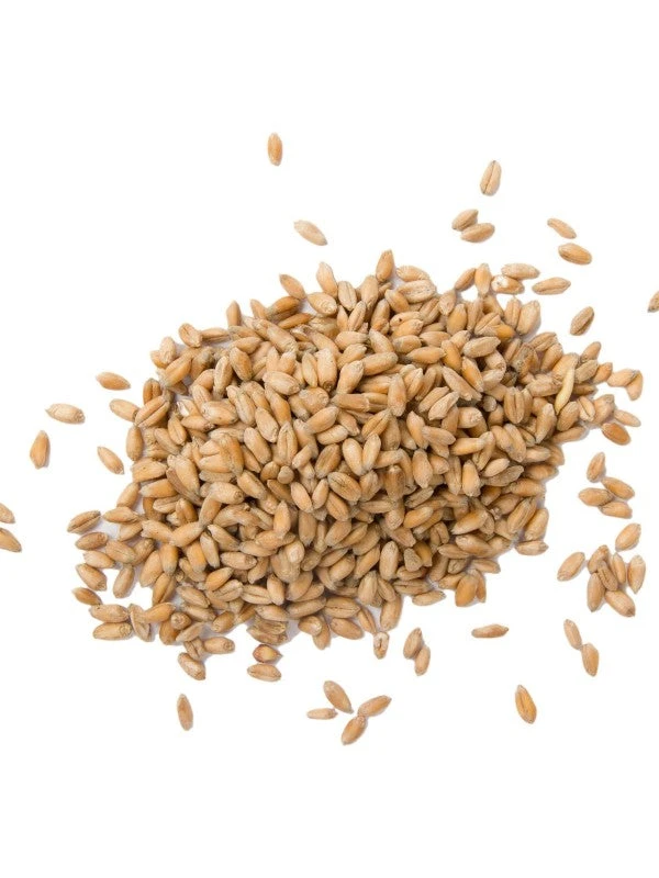 Augason Farms Hard White Wheat 4 Augason Farms Hard White Wheat