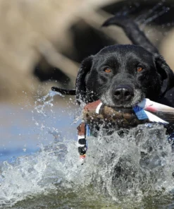 Milspec Plastics COBRA CUFFS Cobra Cutter Keychain Tactical Gear