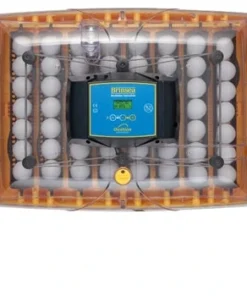 Home, Farm & Garden Brinsea Ovation 56 Advance Digital Egg Incubator 5 Home, Farm & Garden Brinsea Ovation 56 Advance Digital Egg Incubator