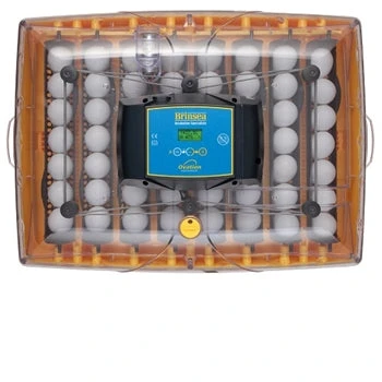 Home, Farm & Garden Brinsea Ovation 56 Advance Digital Egg Incubator 3 Home, Farm & Garden Brinsea Ovation 56 Advance Digital Egg Incubator
