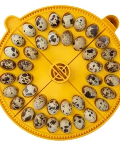 Brinsea Maxi Egg Quadrants Home, Farm & Garden