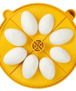 Brinsea Maxi Egg Quadrants Home, Farm & Garden