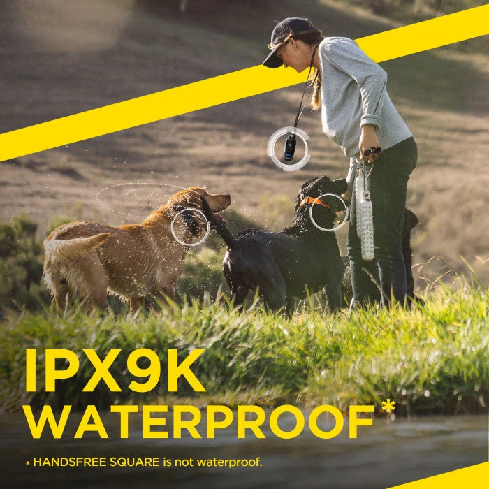 DOGTRA 1900S HANDSFREE PLUS TRAINING SYSTEM Dogs 6 DOGTRA 1900S HANDSFREE PLUS TRAINING SYSTEM Dogs