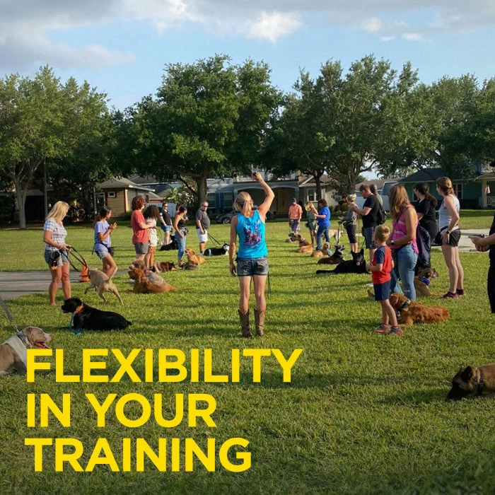 DOGTRA ARC HANDSFREE PLUS TRAINING SYSTEM 8 DOGTRA ARC HANDSFREE PLUS TRAINING SYSTEM