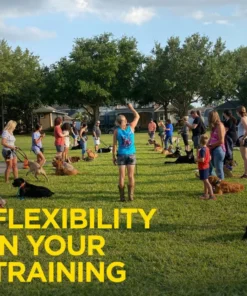 DOGTRA 1900S HANDSFREE PLUS TRAINING SYSTEM Dogs 13 DOGTRA 1900S HANDSFREE PLUS TRAINING SYSTEM Dogs