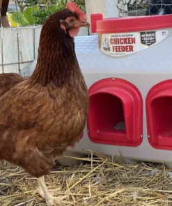 OverEZ Chicken Coops OverEZ Chicken Feeder