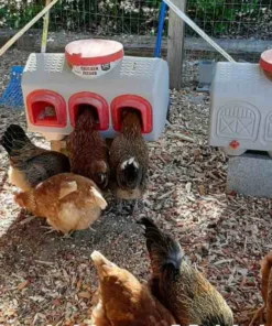 OverEZ Chicken Coops OverEZ Chicken Waterer Home, Farm & Garden