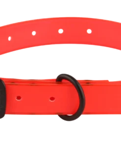 AVERY SPORTING DOG CUT-TO-FIT COLLAR