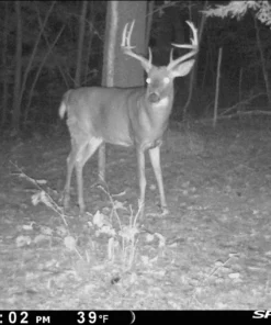 SPYPOINT LINK-MICRO-LTE CELLULAR TRAIL CAMERA