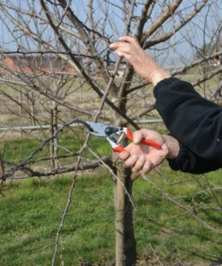 FELCO 8 Ergonomic Pruning Shear Home, Farm & Garden 7 FELCO 8 Ergonomic Pruning Shear Home, Farm & Garden