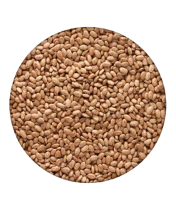 Emergency Essentials Pinto Beans Large Can 7 Emergency Essentials Pinto Beans Large Can