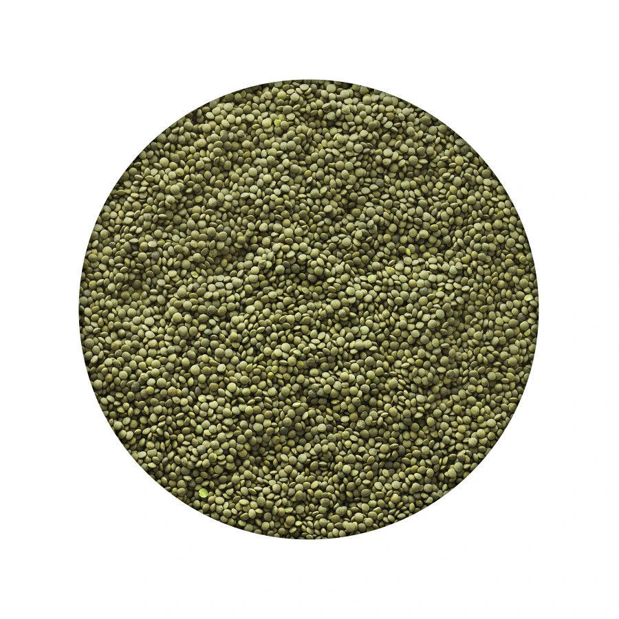 Emergency Essentials Lentils Large Can 5 Emergency Essentials Lentils Large Can