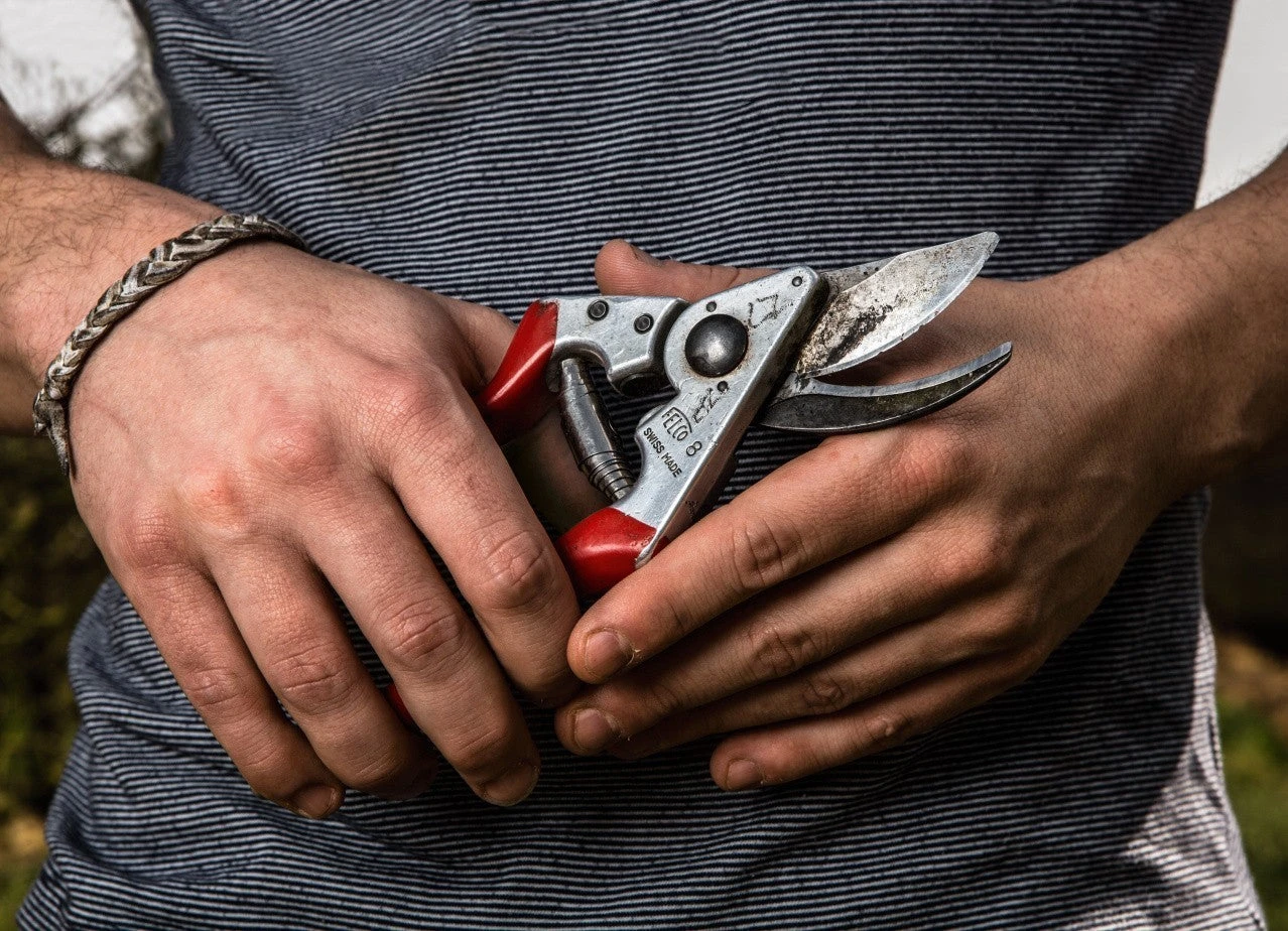 FELCO 8 Ergonomic Pruning Shear Home, Farm & Garden 5 FELCO 8 Ergonomic Pruning Shear Home, Farm & Garden