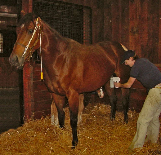 Home, Farm & Garden EZ - UDDERLY EZ HAND MARE MILKERS 3 Home, Farm & Garden EZ - UDDERLY EZ HAND MARE MILKERS