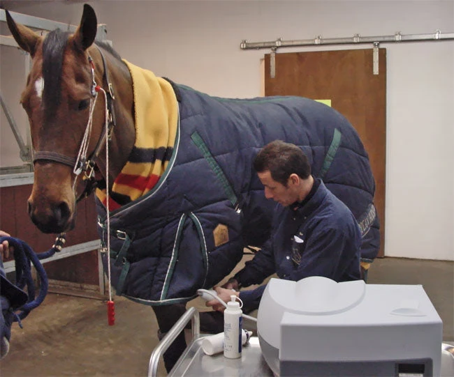 Udderly EZ EZ - THE STABLEIZER 5 Udderly EZ EZ - THE STABLEIZER