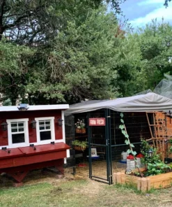 OverEZ Chicken Coops OverEZ Extra Large Chicken Coop 6 OverEZ Chicken Coops OverEZ Extra Large Chicken Coop