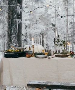 Primus Alika Stove 27 Primus Alika Stove