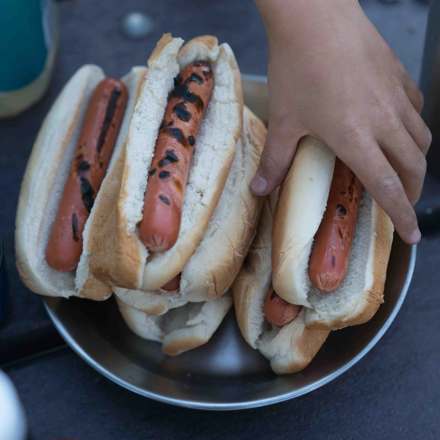 Primus CampFire Plate S/S Gear 3 Primus CampFire Plate S/S Gear