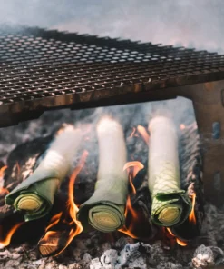 Primus Aeril Fire Rack 56 Primus Aeril Fire Rack