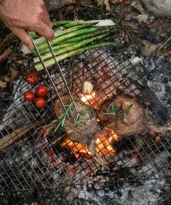 Primus Aeril Fire Rack 54 Primus Aeril Fire Rack