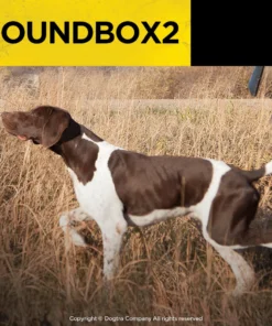 DOGTRA SOUND BOX 2 Dogs 7 DOGTRA SOUND BOX 2 Dogs