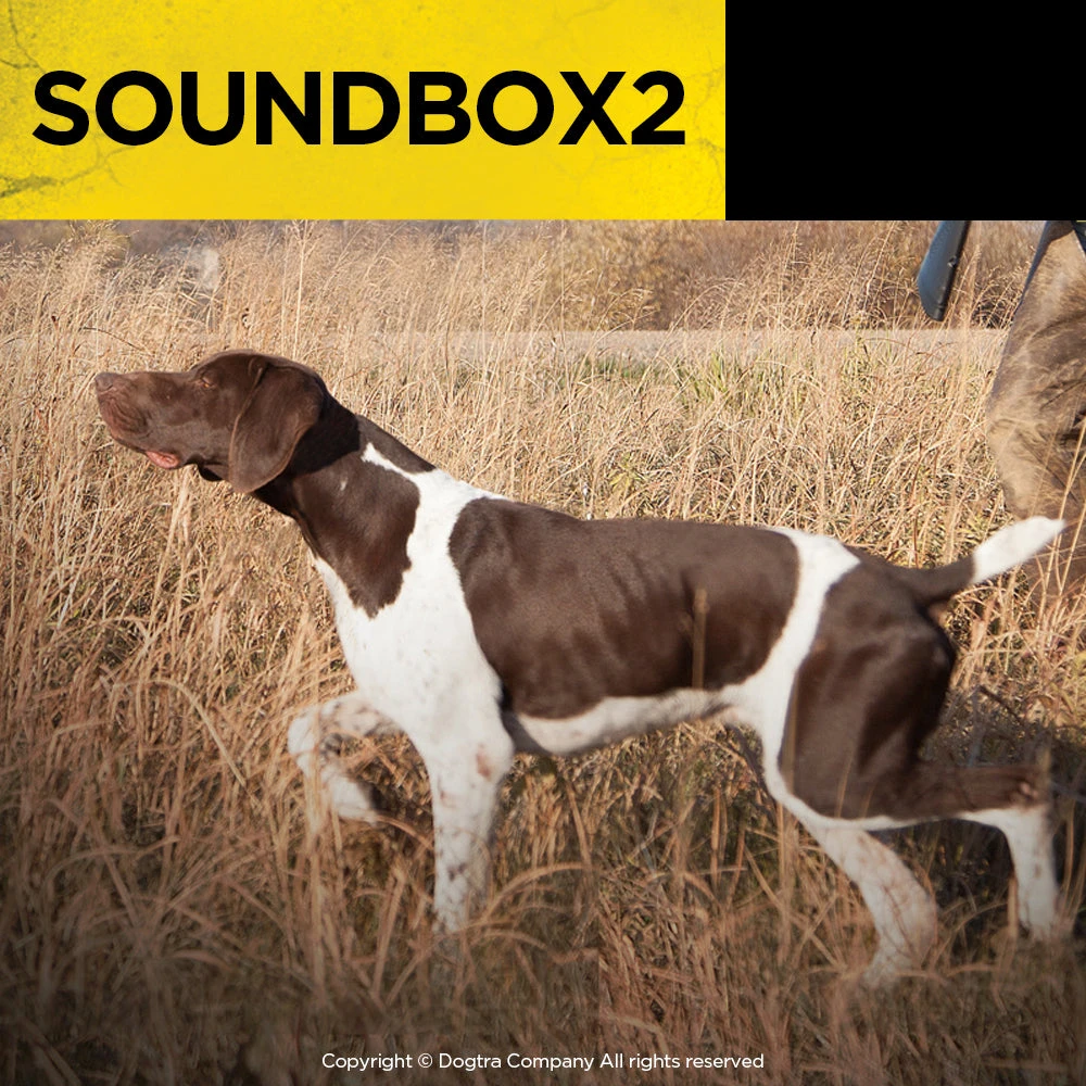 DOGTRA SOUND BOX 2 Dogs 4 DOGTRA SOUND BOX 2 Dogs
