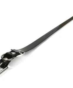 Dogs DOGTRA COLLAR STRAP 3/4"X24" BLACK