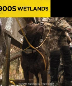 Dogtra 1900S Wetlands Dog Training E-Collar System Dogs 10 Dogtra 1900S Wetlands Dog Training E-Collar System Dogs