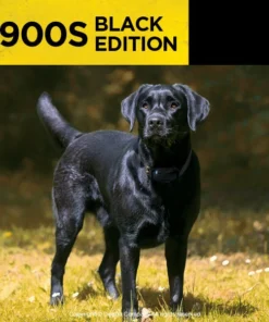 DOGTRA 1900S TRAINING SYSTEM- BLACK EDITION