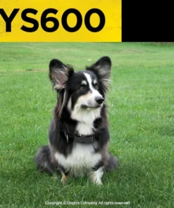 Dogs DOGTRA YS600 NO BARK COLLAR