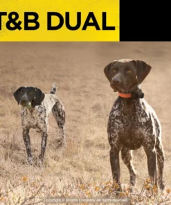 Dogs Dogtra T&B Dual 2-Dog Training And Beeper System 14 Dogs Dogtra T&B Dual 2-Dog Training And Beeper System
