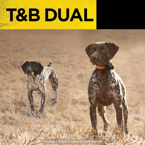 Dogs Dogtra T&B Dual 2-Dog Training And Beeper System 7 Dogs Dogtra T&B Dual 2-Dog Training And Beeper System