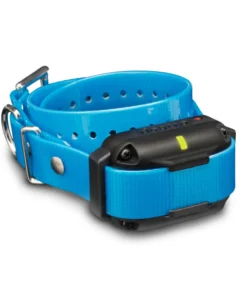 Dogs DOGTRA EDGE RT ADDITIONAL RECEIVER 7 Dogs DOGTRA EDGE RT ADDITIONAL RECEIVER