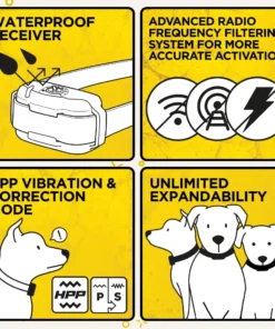 DOGTRA 3500 E-FENCE Dogs