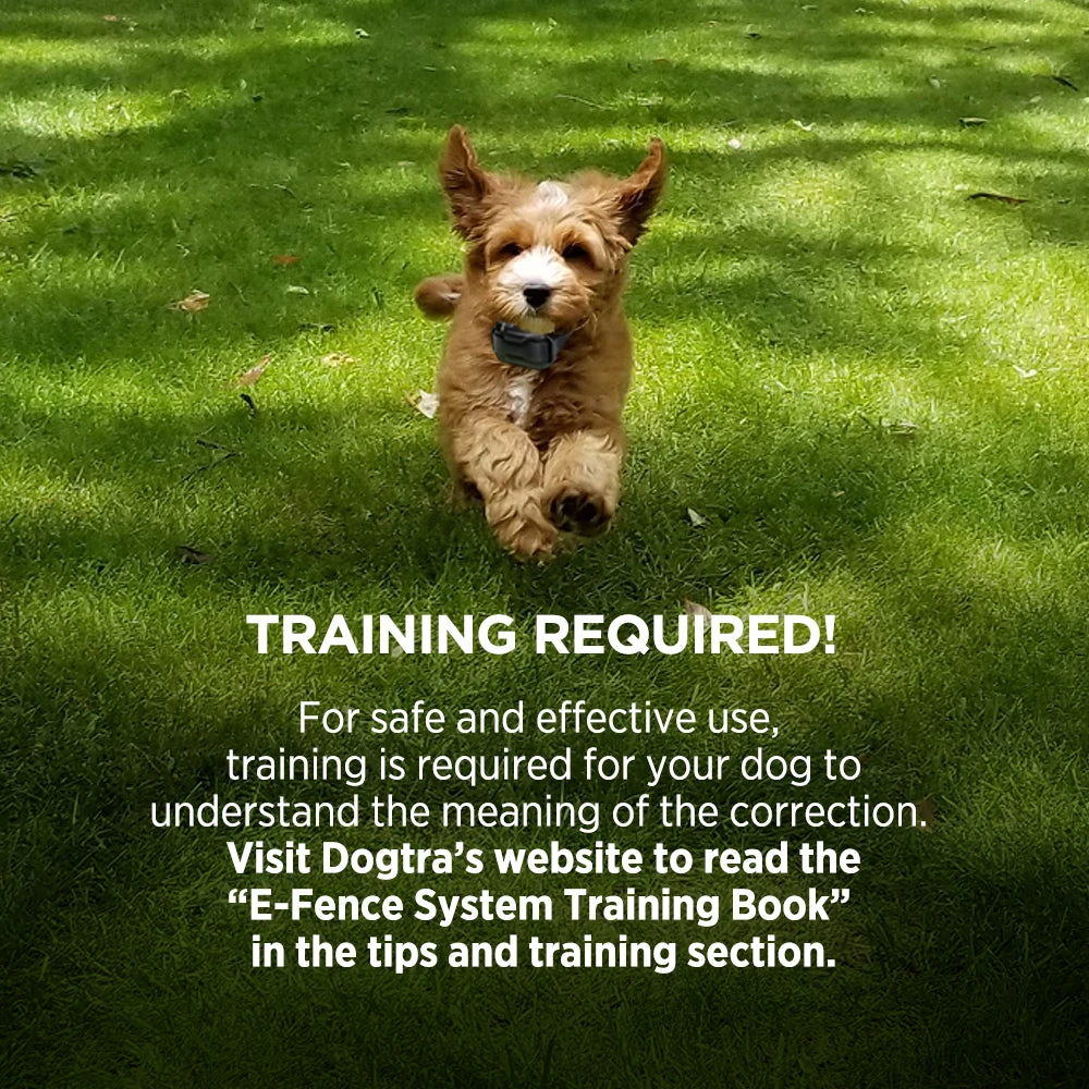 DOGTRA 3500 E-FENCE Dogs 6 DOGTRA 3500 E-FENCE Dogs