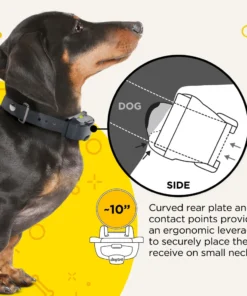 Dogs DOGTRA IQ MINI TRAINING SYSTEM