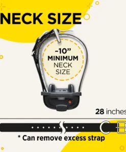 Dogs DOGTRA IQ MINI TRAINING SYSTEM