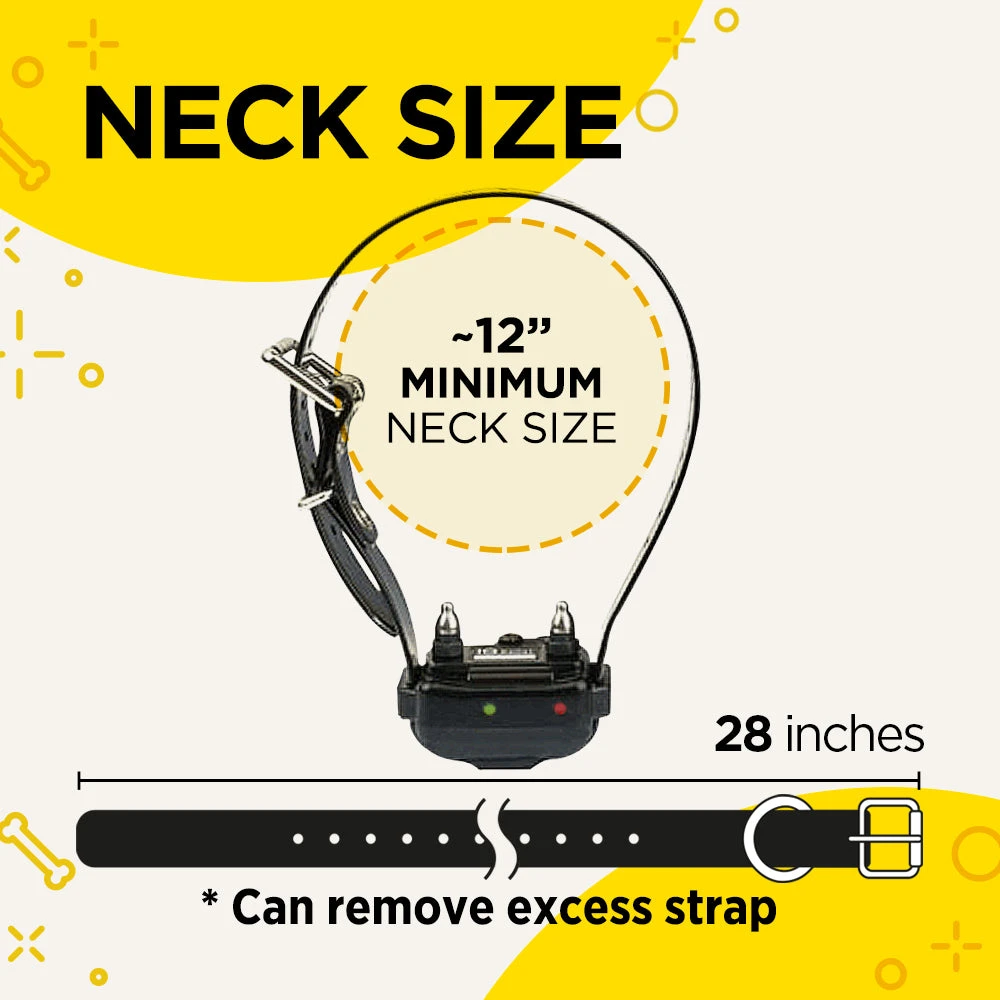 Dogs DOGTRA IQ PLUS TRAINING SYSTEM 4 Dogs DOGTRA IQ PLUS TRAINING SYSTEM