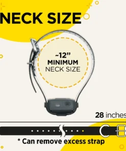 DOGTRA IQ VIBE NO BARK COLLAR Dogs 11 DOGTRA IQ VIBE NO BARK COLLAR Dogs