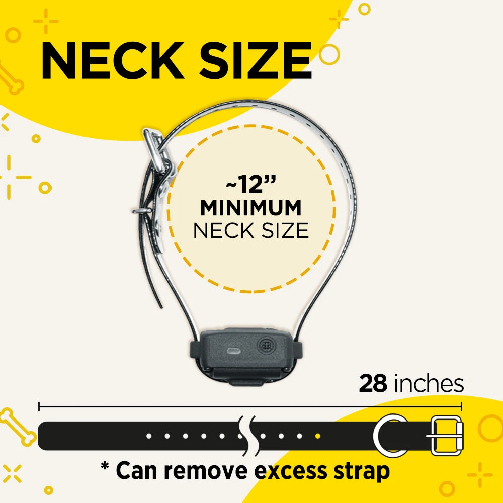 DOGTRA IQ VIBE NO BARK COLLAR Dogs 5 DOGTRA IQ VIBE NO BARK COLLAR Dogs