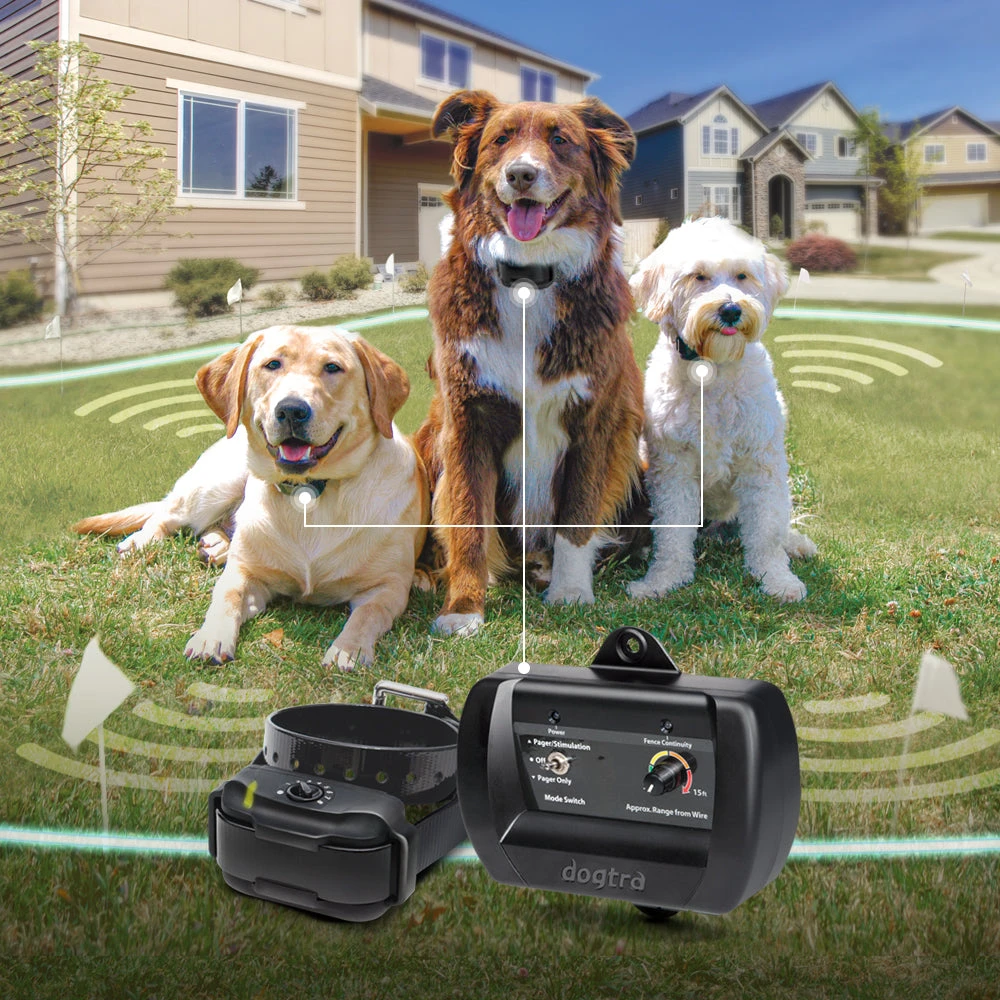 DOGTRA 3500 E-FENCE Dogs 7 DOGTRA 3500 E-FENCE Dogs